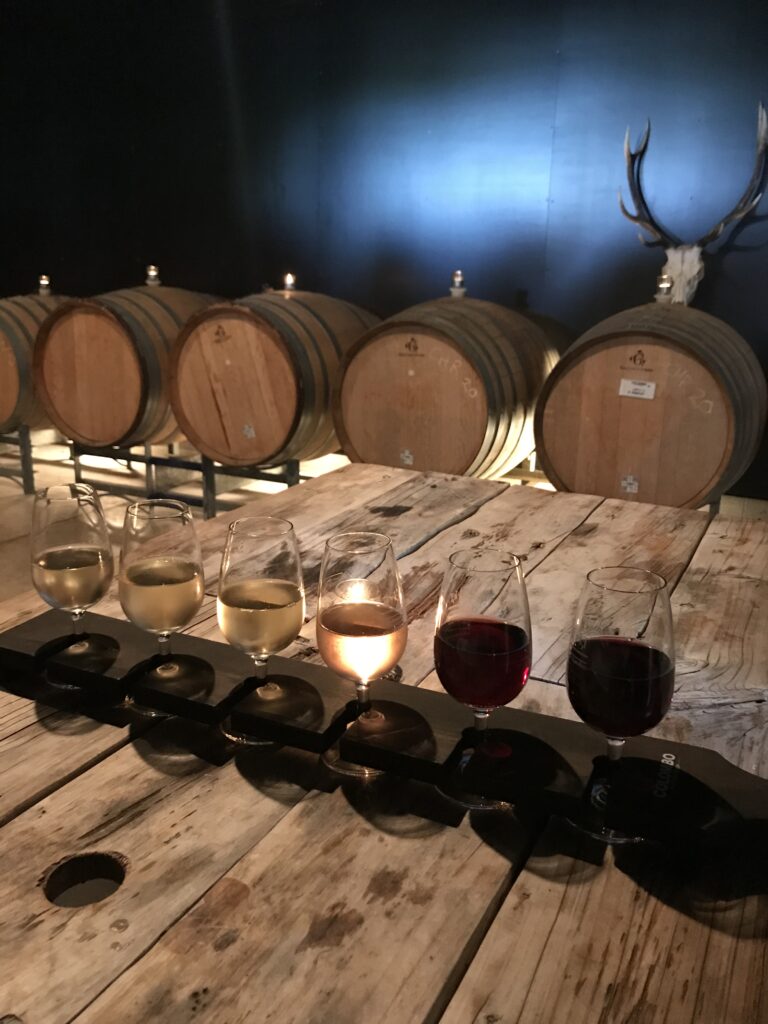 ワイナリーでテイスティング